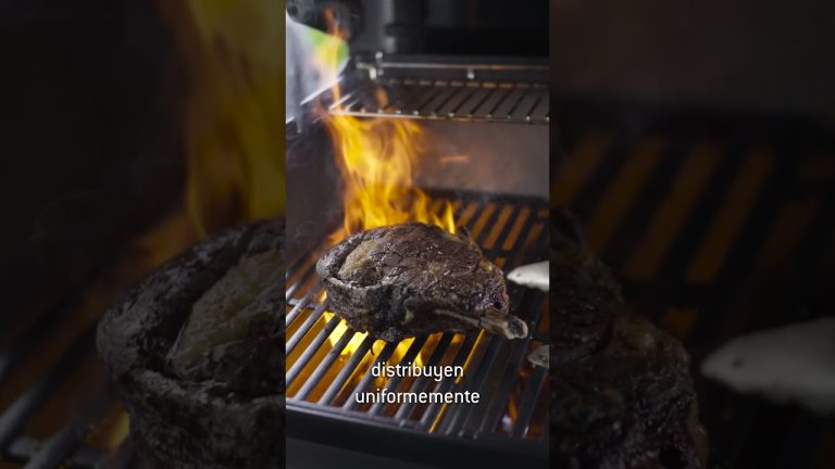 Asador de gas Genesis E-315