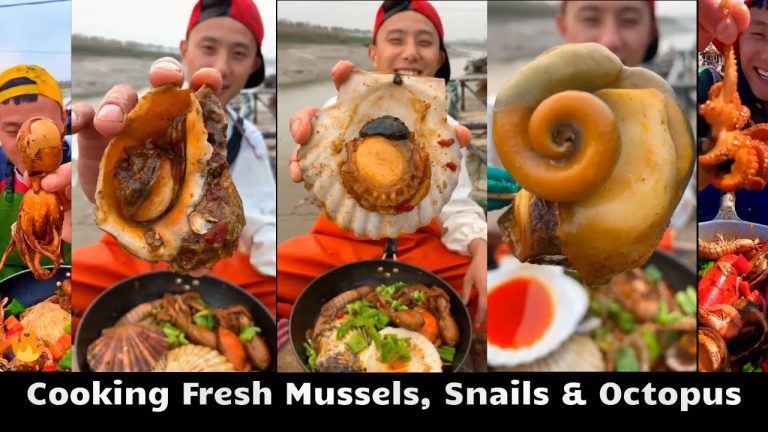 Fishermen’s Feast: Cooking Fresh Mussels, Snails & Octopus 🔥 | Mouthwatering Seafood Recipes