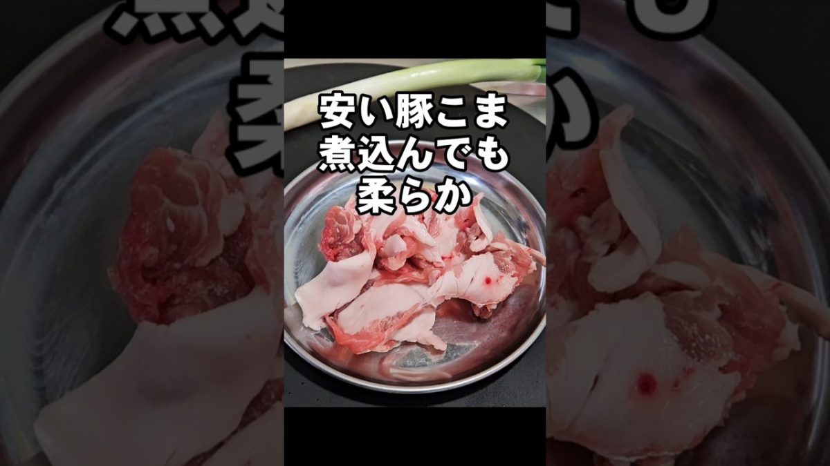 【裏技】安い豚こま切れ肉が柔らかくすげぇ美味くなる！長ネギとろとろ鍋焼きうどん 簡単レシピ ライフハック