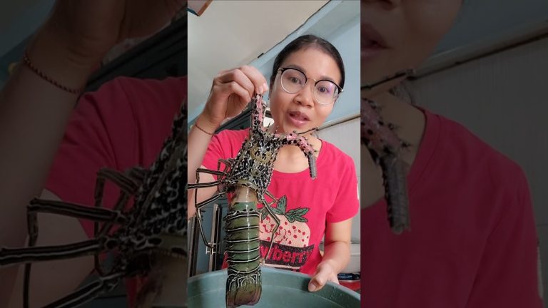 Lobster saos padang #mukbang