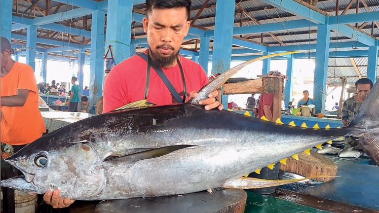 Live 13 Feb 25🔥🔪🔥Skills hebat memotong yellowfin tuna Jembatan Puri Fish Market, Sorong City papua
