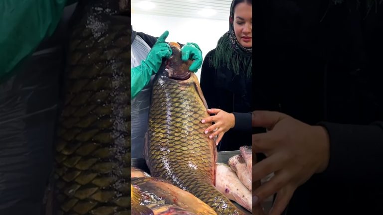 Cooking Large Fish in the Oven! 🔥