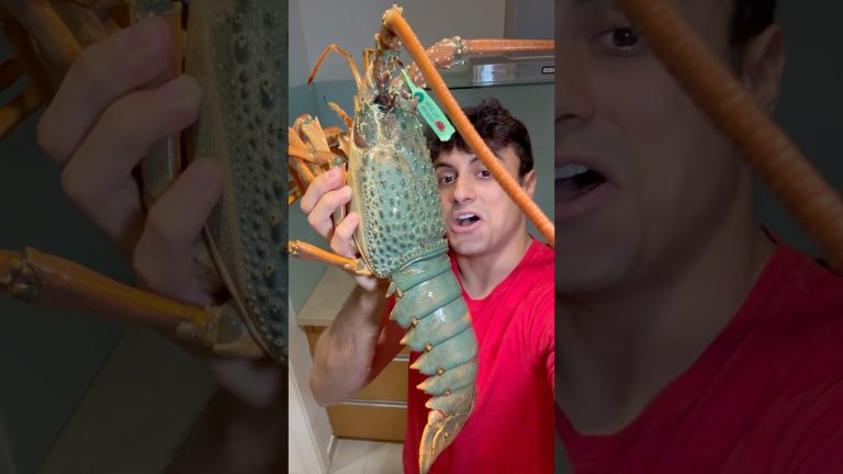 Cooking MASSIVE Green Lobster