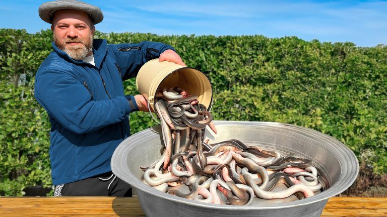 The Most ADDICTIVE Fish Recipes! 🎣🔥 One Bite & You’re Hooked!