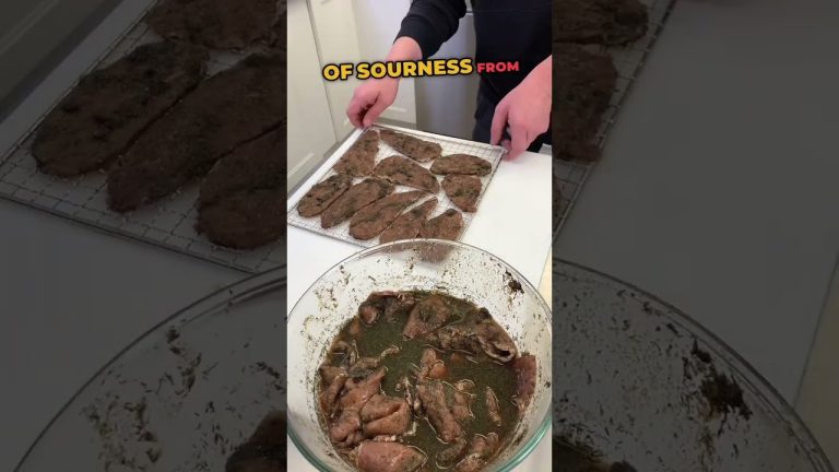 Can we MASTER the DILL PICKLE JERKY?!?!?! #jerky #snacktok #dill #pickle #beefjerky