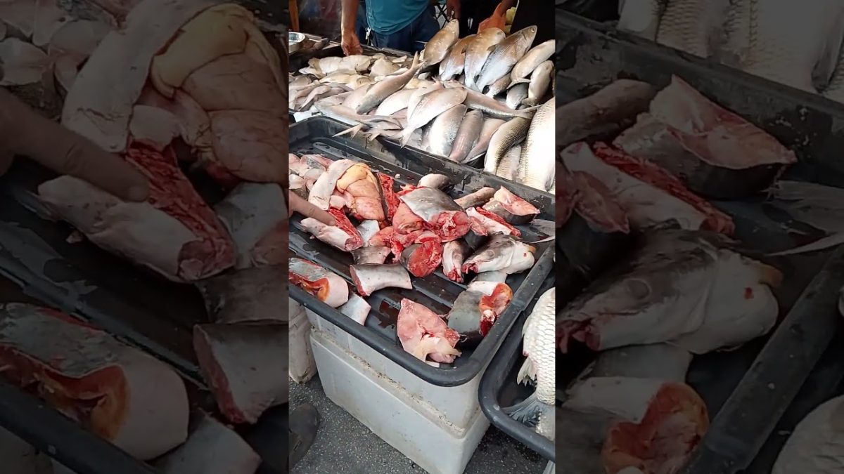 #fishkeeping #fishing #seafish #seafood #angeln #seafishmarket #fish #seafoodmarket #seafoodrecipes