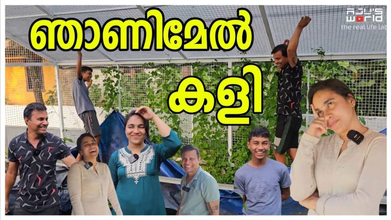 കൈവിട്ട കളി…/Palak pulao recipe /Village cooking /Family vlog /Palak Krishi /A day in our life