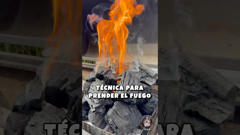 TÉCNICA PARA PRENDER EL FUEGO 🔥 #argentina #asado #bbq