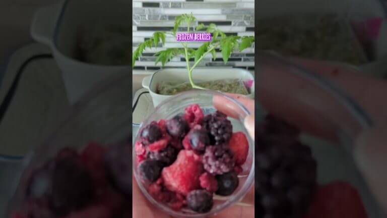 Smoothie Recipe. Fruit Smoothies. Healthy Snacks. Easy Recipes. Shorts. #smoothie #smoothies #fruit