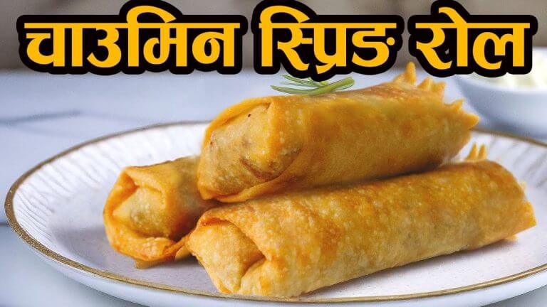 SPRING ROLL RECIPE NEPALI | CHOWMEIN ROLL