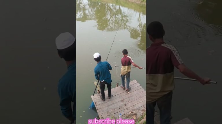 #fishfrycurry #fishing #fhiscurry #seafood #fishgravyrecipe #fish #vlog #fisfry #seafoodrecipes