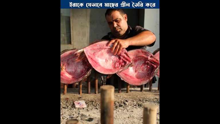 ইরাকের বিখ্যাত মাছের গ্রীল 😱 grilled fish recipe