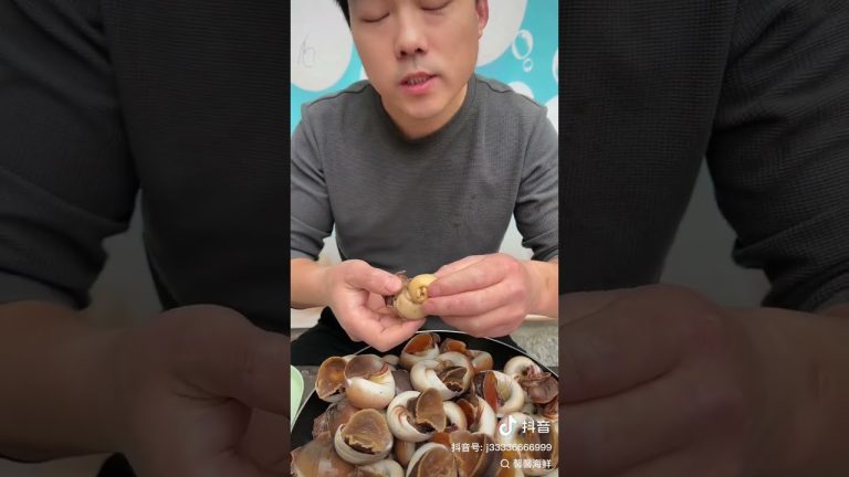 Cat's eye snail seafood #159