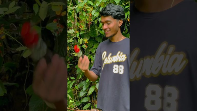 Seafood Nasi Goreng🦞🤤#nasigoreng #seafood #seafoodlovers #cooking#food  #viralvideo #foryou #fyp#