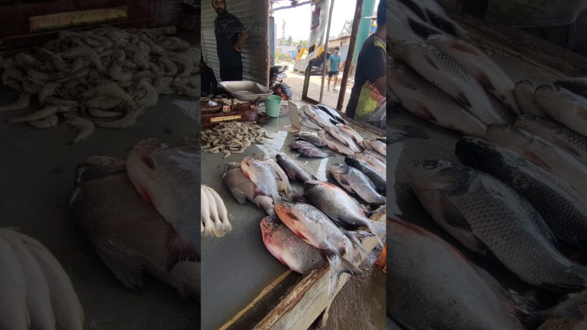 🪬 Meen kolambum 🐠 varuvalum 🍽️ #shorts #youtubeshorts #cooking #trending