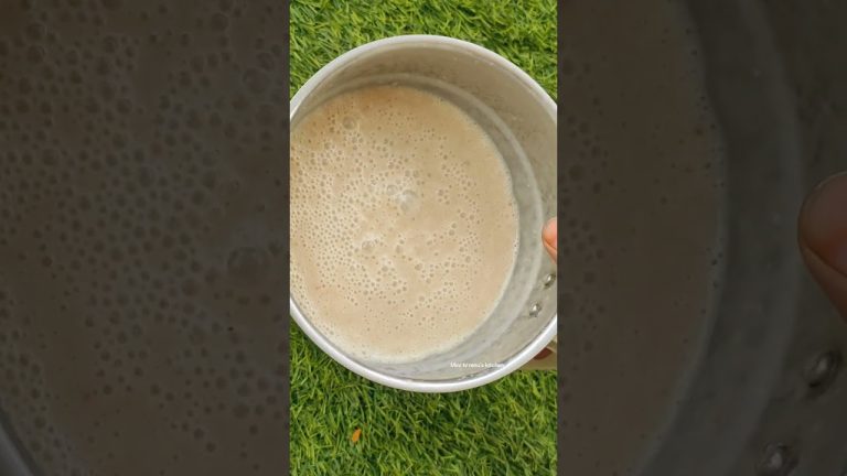 Sapota milkshake 🤤👌#milkshake#sapotamilkshake#minitvrenuskitchen