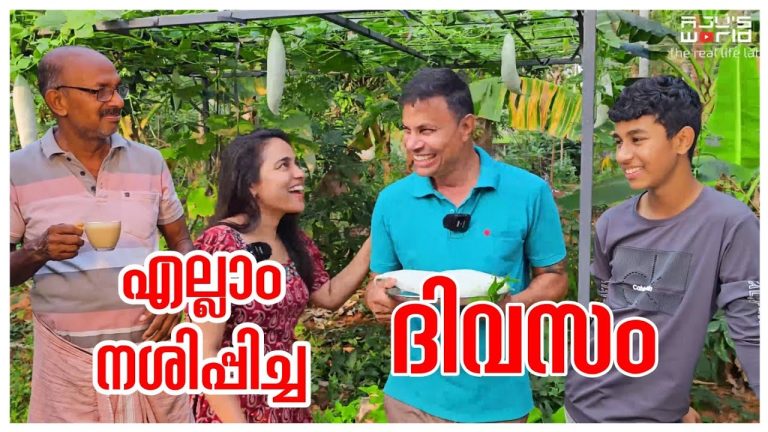 നശിപ്പിച്ച ദിവസം/Healthy recipe /Snacks /Vegetable Harvest /Family vlog /Cooking