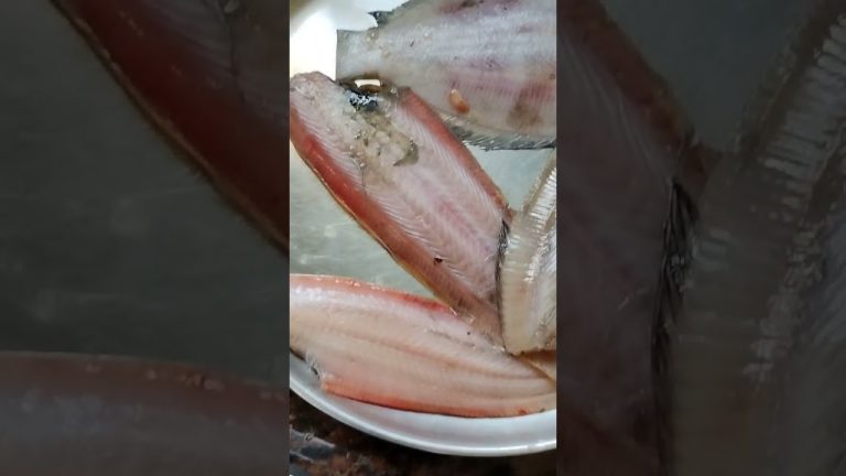 आई आज कसले मासे आणलंस 🐟🐟 #fish #seafood #seafoodrecipes #konkanpremi #konkanlife #konkanfood