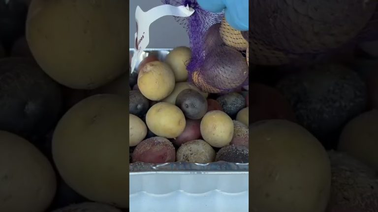 Bling bling! 🤣🤣🤣🤘👍🔥🔥 #steak #beef #bbq #brisket #cooking