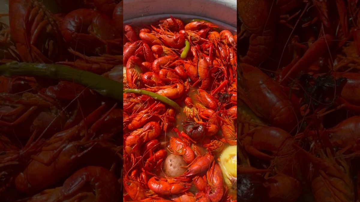 Crawfish boil time. #fyp #full #crawfishboil #mardigras #louisiana #louisiana #neworleans #music
