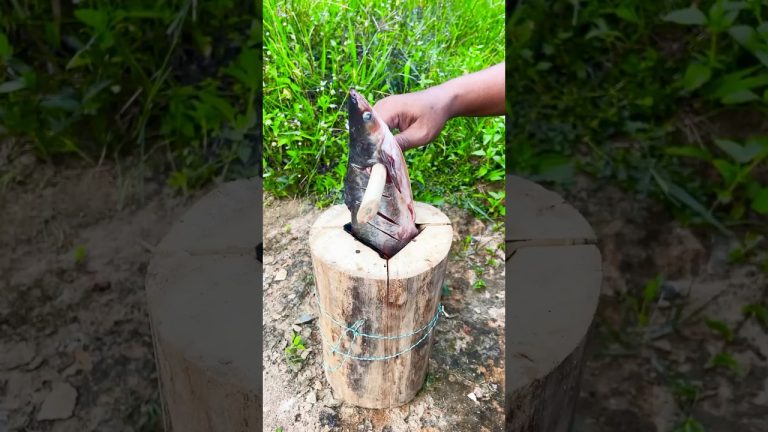 Grilling Fish in a Stump A Unique BBQ Experience! 🔥🐟