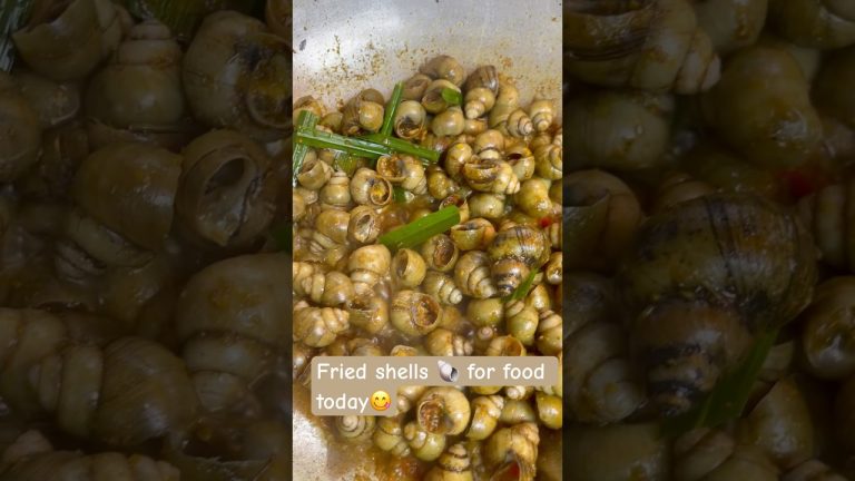 Cooking shells #seafood #like #update #recipe