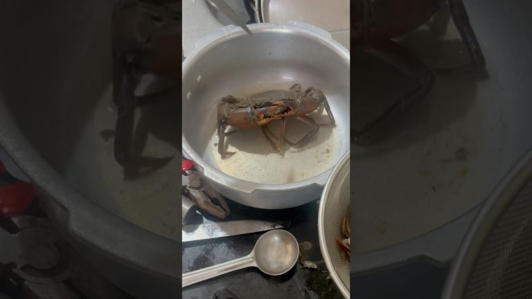 4 crabs ki 40mins pattindhi #viralvideo #shorts