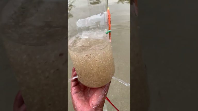 #diy #fishing #campping #wildlife #fish #primitiveplus #fishrecipes #seafoodrecipes #food #cooking