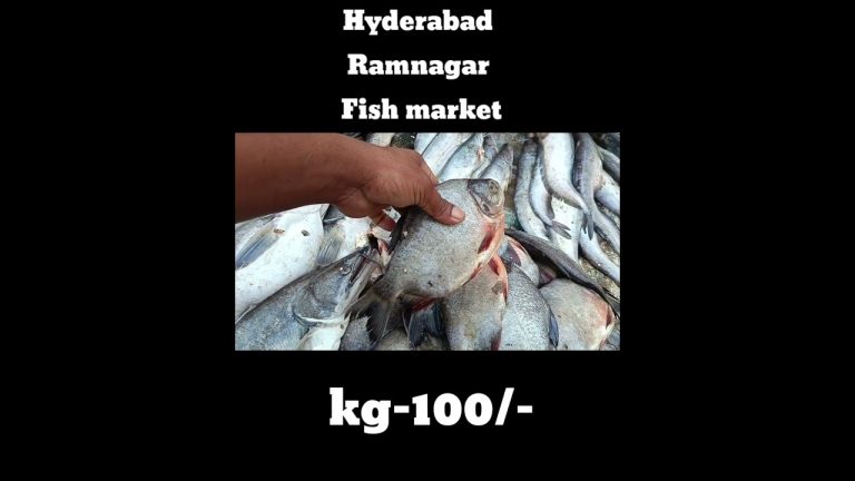 Ramnagar fish market #biggestfishmarket #food #fish #seafood #fishmarket