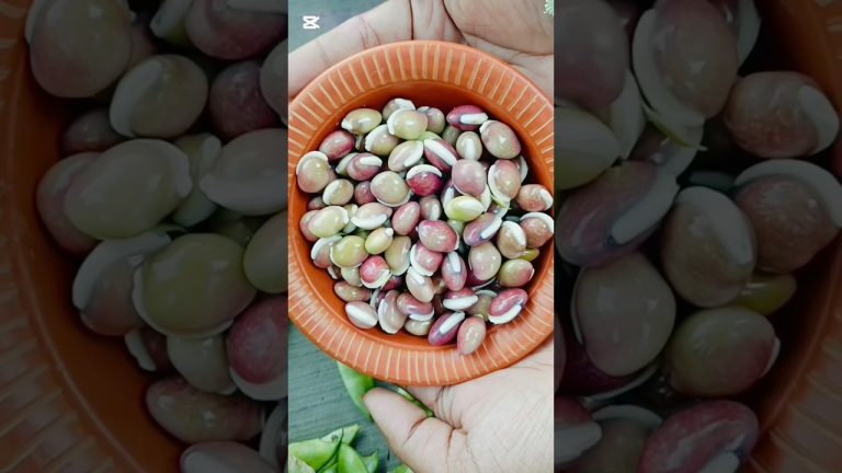 সন্ধ্যায় তৃপ্তি সহকারে এক প্লেট ভাত খাওয়ার রেসিপি।#villagelife #cooking #recipe#shorts