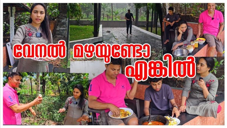 വീട്ടിലെ കൊള്ളിയും മീൻ കറിയും 😋/Village cooking/Fish curry /Kappa recipe/Agriculture/Tapioca harvest