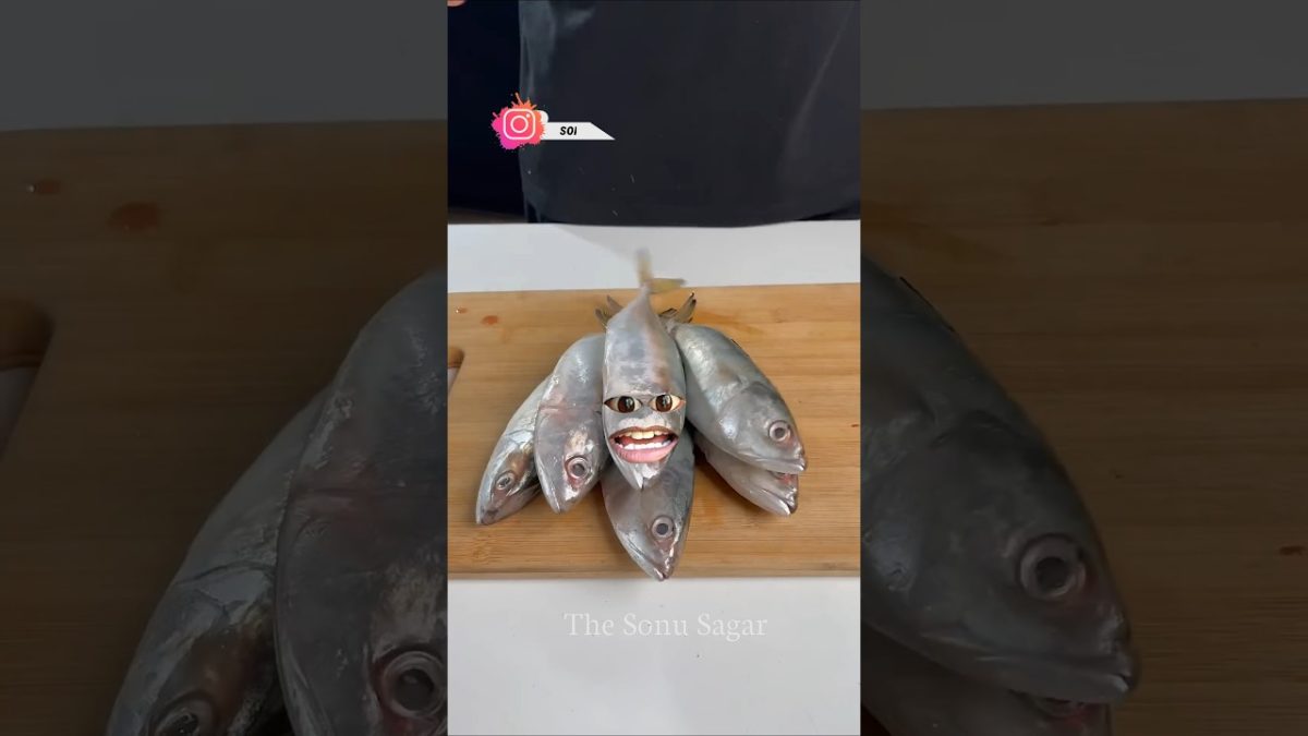 Fish Fry 🤣 | #shorts #shortsvideo #funny