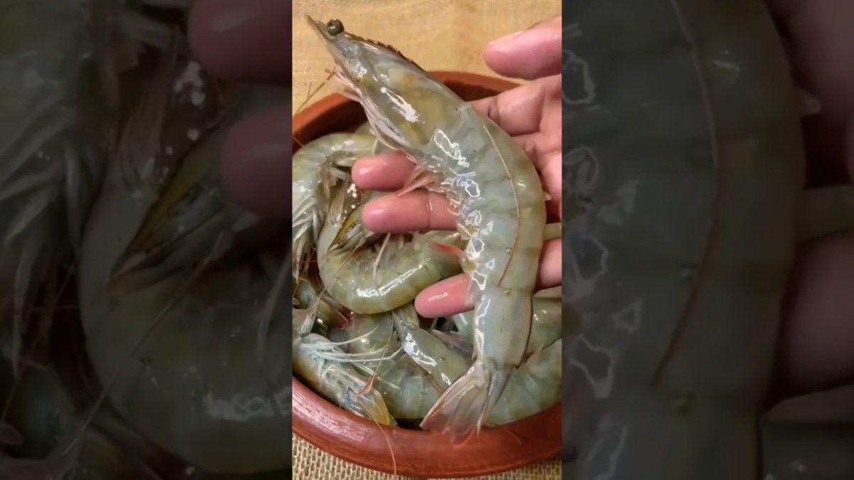 Chingudi Malai Fry | Jhinga machli banane ka tarika | Prawn fry Recipe #shorts #prawns