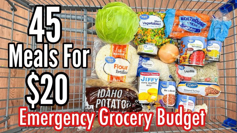 45 MEALS FOR $20 | Healthy, Easy & Delicious Recipes | Emergency Grocery Budget-Friendly Meal Plan!