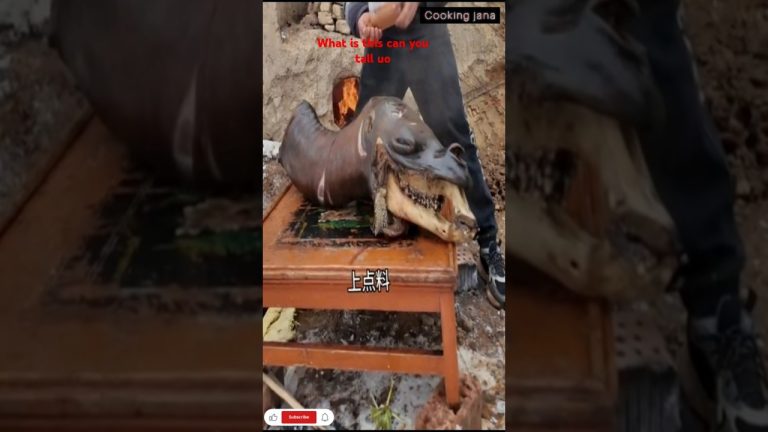 big camel head recipe #villagelife #cookingcamel