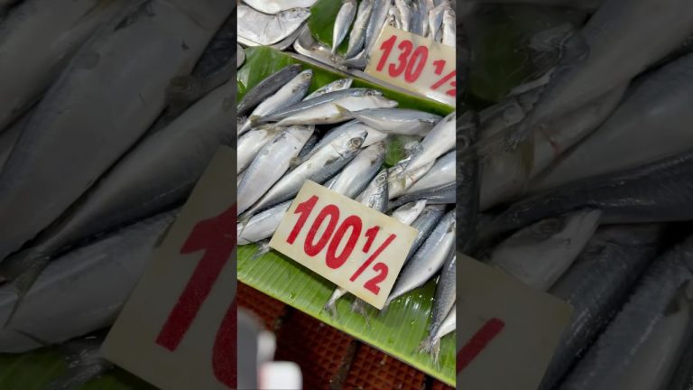 Simple Filipino Fish Stew- Kinamatisang Salmon Tagalog at Halaan #simplelife #filipinodish #homecook