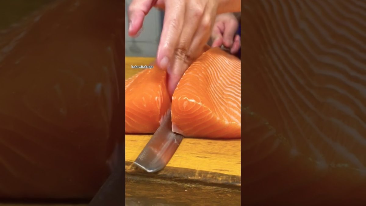 Perjuangan Salmon 🐟🔥 Bertahan Hidup, Ditangkap Manusia, Jadi Hidangan Mewah! 🍽️😱” #shorts #ikan
