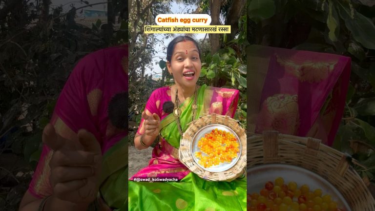Shingala / Catfish egg curry. #catfish #recipe #egg #food #cooking #seafood #@Swad_Koliwadyacha