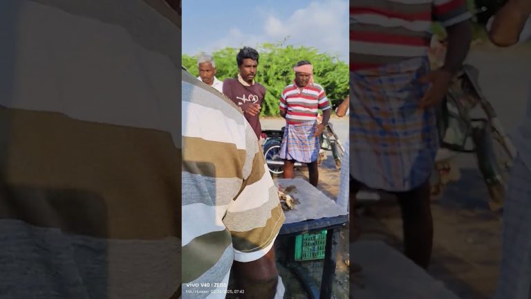 நண்டு ஏலம் 🦀🦀🦀🦀 #seafoodprep #seafood #fishing #fish #food #seafoodrecipes #seafoods #streetfood