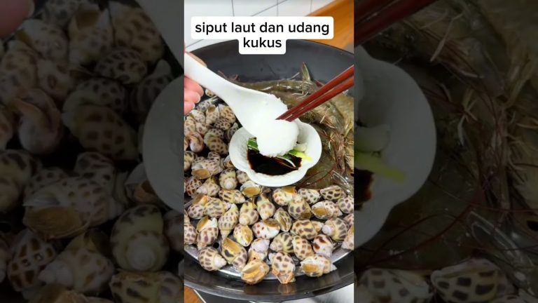 Steam siput laut dan udang simpel enak #food #cooking #resep #seafood #steam
