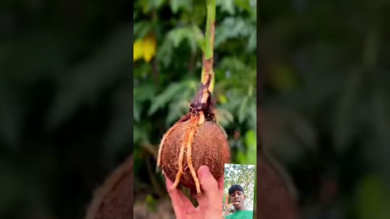 #food #foodie #facts #anotherbrickinthewall #seafood #animals #fish #rajjufam #funny #seafoodrecipes