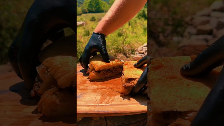 Cheese and Veal Sandwich in the Nature #food #cooking #recipe #asmr #4k #hd #beef #cheese #sandwich