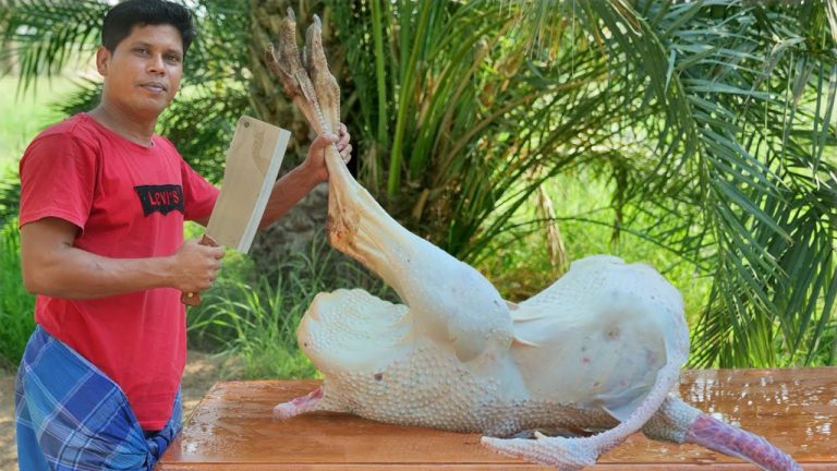 40 KG OSTRICH | GRILLED OSTRICH | OSTRICH MEAT On CHARCOAL