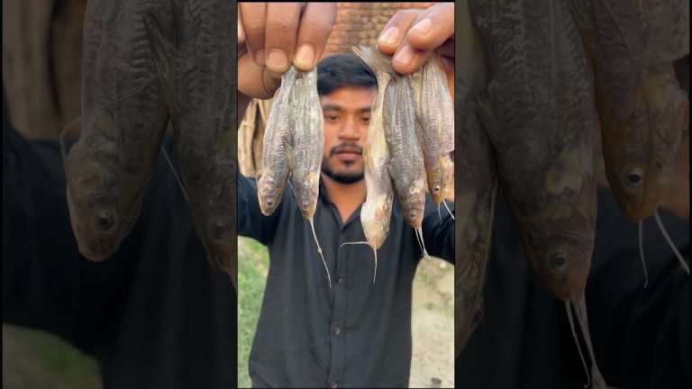 Fish Tawa fry #shortvideos #food #cooking #recipe