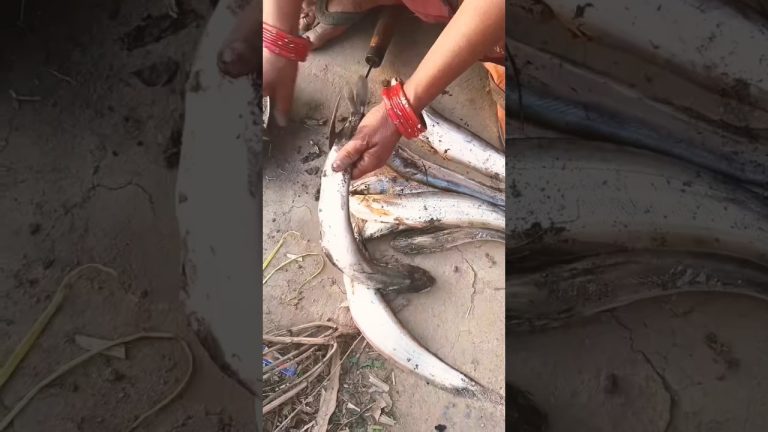 Cooking Fish curry in Village 🤤/ #maakisheekh #food  #recipe #chickendishes #desifood #ytshorts