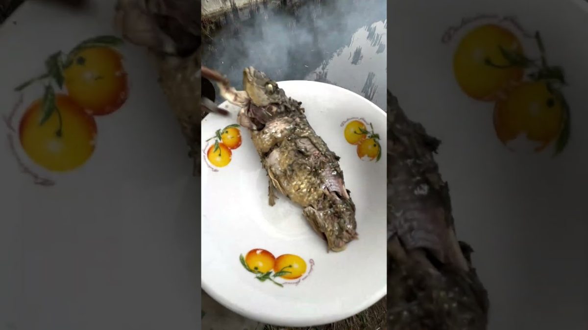 CATCHING AND COOKING FISH | OUTDOOR COOKING #shorts #food #cooking #outdoorcooking #fish