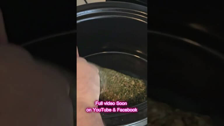 🍖 Greek Style Crock Pot Pork with Beer (TRAILER)