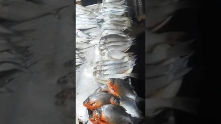 Puri Beach's Legendary Fish Fry😋  #Shorts #Viralshorts #shortsfeed #ytshorts #recipe #cooking #food