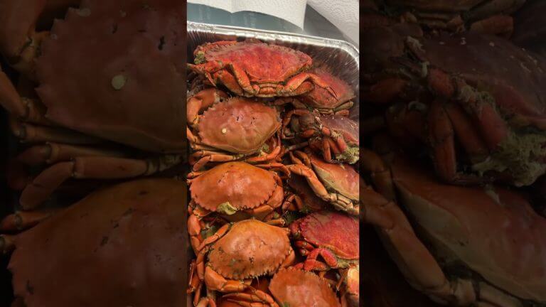 #crab #food #seafood #asmr #seafooddishes #cooking #seafoodrecipes #asmrfood