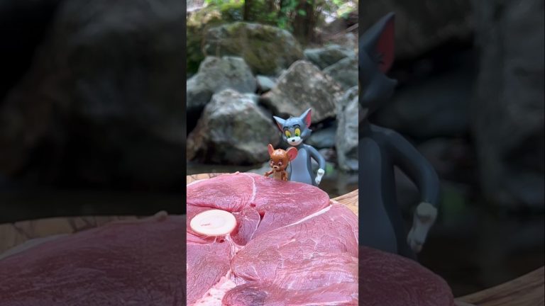 Steak Pizza Cooking On the Rock🥩 #food #recipe #cooking #asmr #4k #hd #pizza #steak #tomandjerry